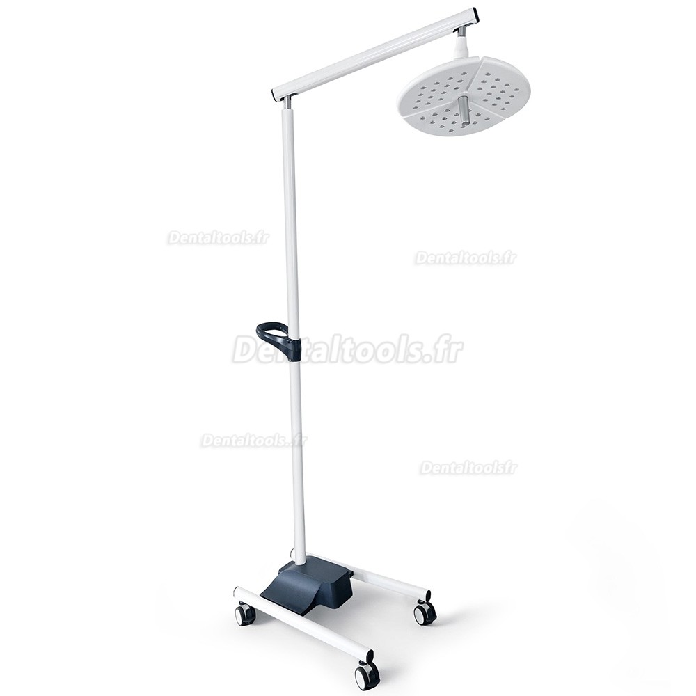 KWS KD-2036L-4 lampe scialytique dentaire LED mobile 80W sur pied avec 4 roulettes